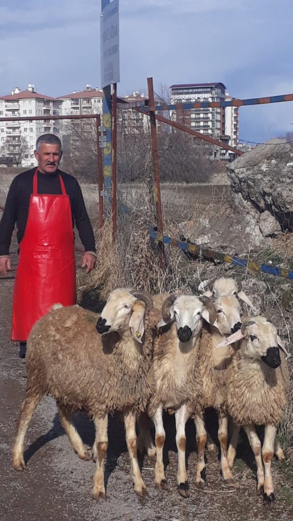 Kurbanlık Kesim Hizmeti